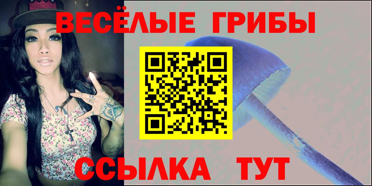 Галлюциногенные грибы Cubensis  Вход с VPN  Вязники 