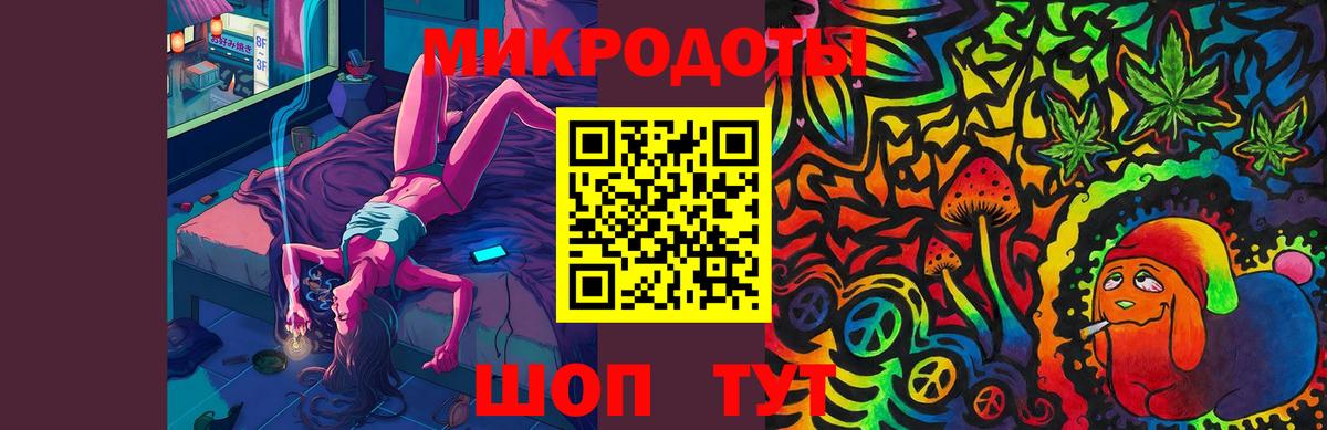 Галлюциногенные грибы Psilocybe Вязники